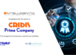Intelligentia Cribis Prime Company
